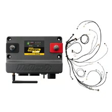 Haltech Rebel LS Gen IV ECU Package